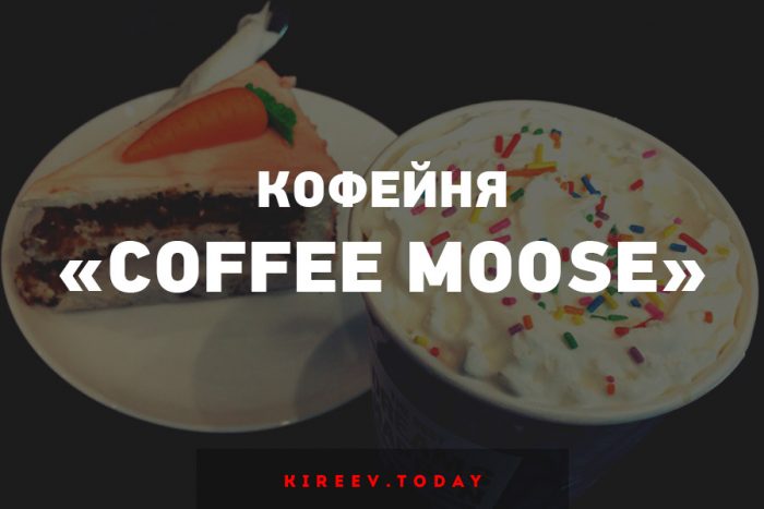 Кофейня «Coffee Moose»