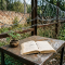 Open antique book and potted wildflower on a rusted table behind barbed wire